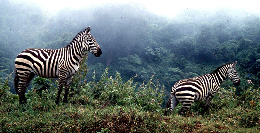 afrika1997_055