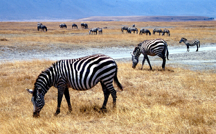 afrika1997_056