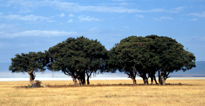 afrika1997_057