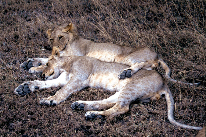 afrika1997_062