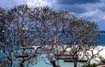 afrika1997_068
